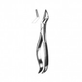 Extracting Forceps English Pattern